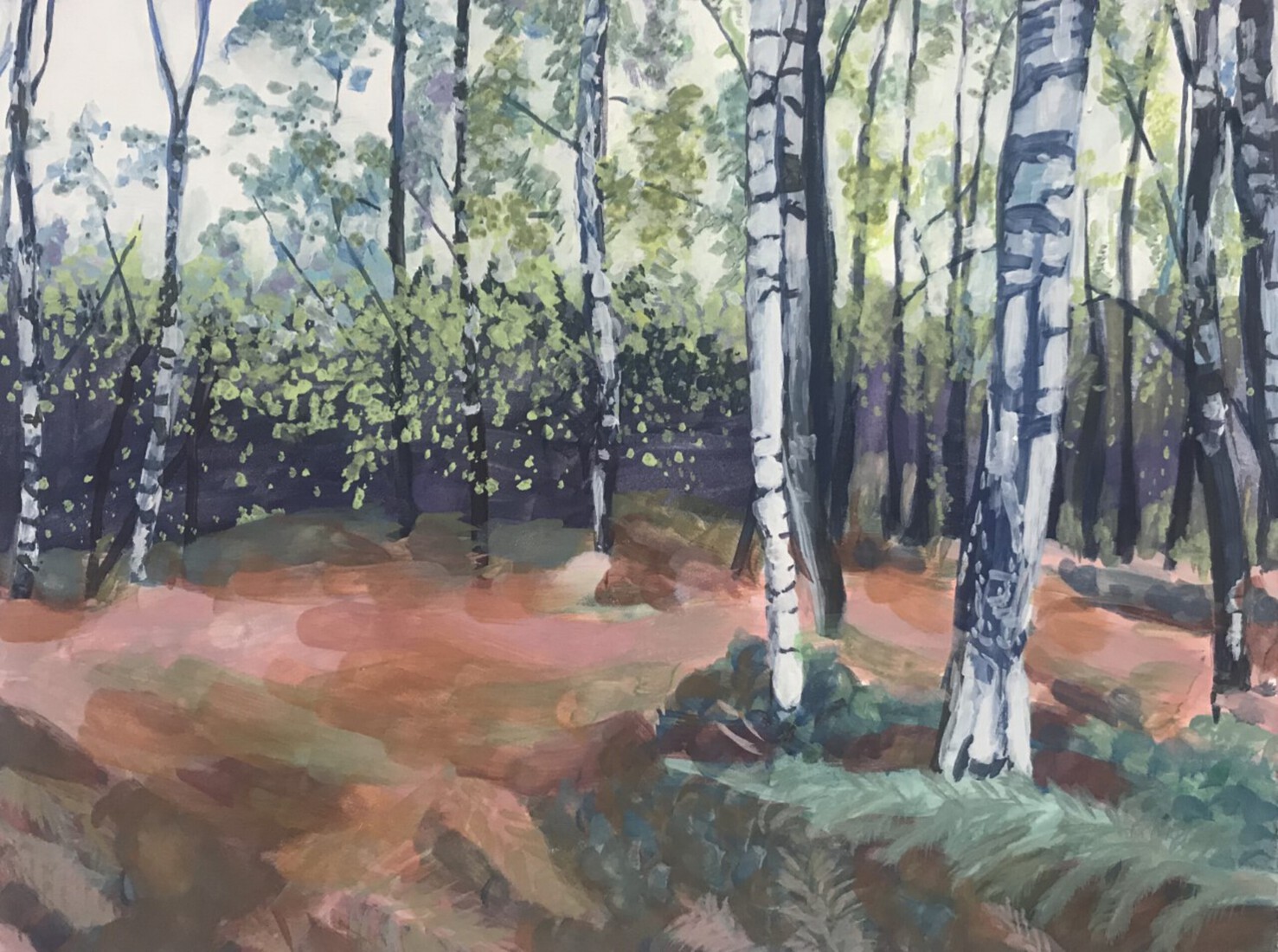 Birch trees