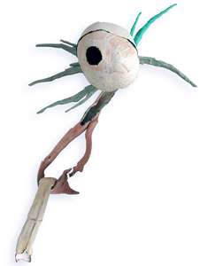 Het verkennen van de 3D dimensie vind ik een uitdaging. De vrouwelijke vormen zijn mijn inspiratie geweest in mijn werk in steen. Mijn keramische werk heeft een minimalistisch benadering altijd op zoek naar vormcontrasten die het geheel spannend kunnen maken.