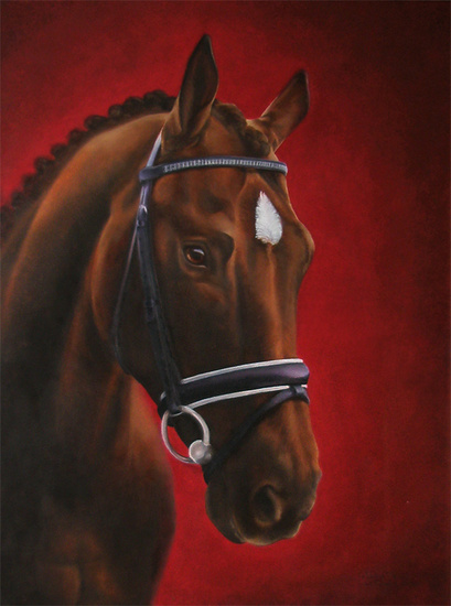 Horse portrait