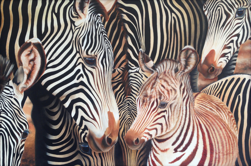 Zebra family