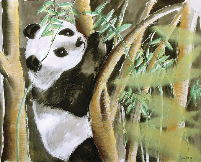 Panda I
