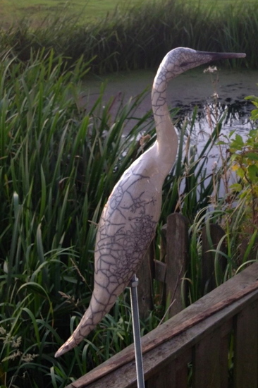 kleine zilver reiger