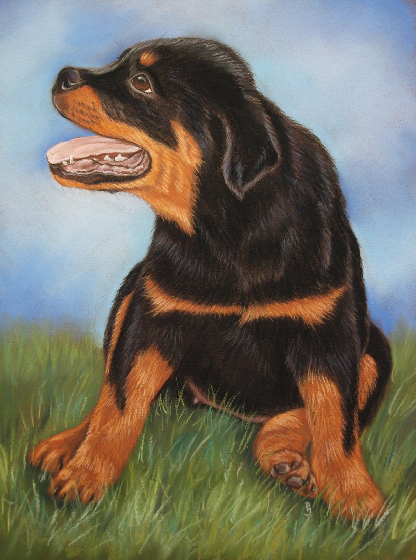 Rottweiler Pup