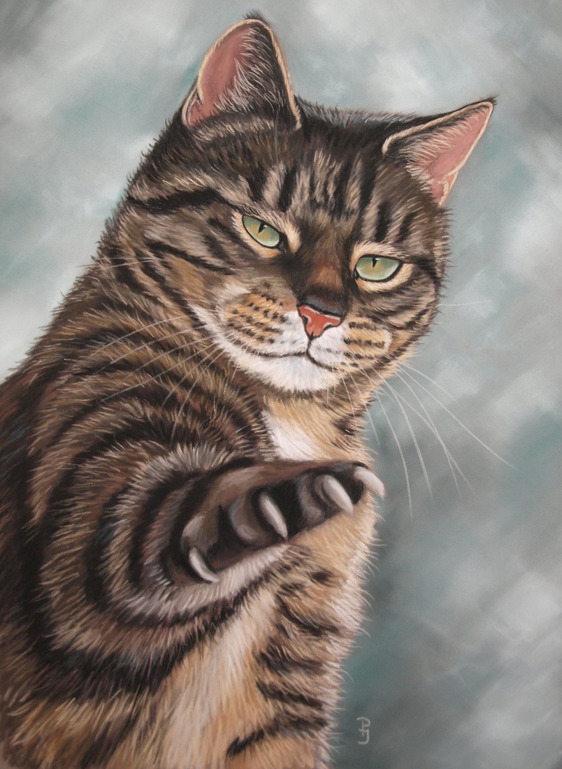 Cyperse  Kat 9