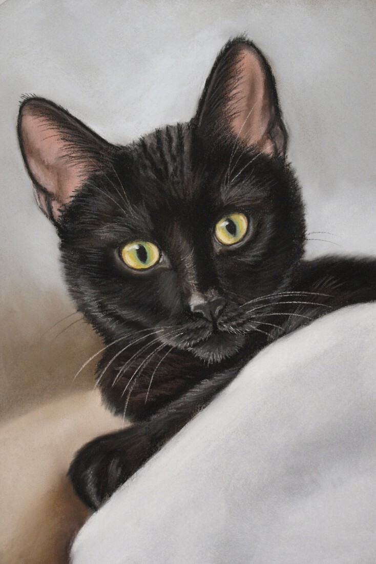 Jong zwart katje