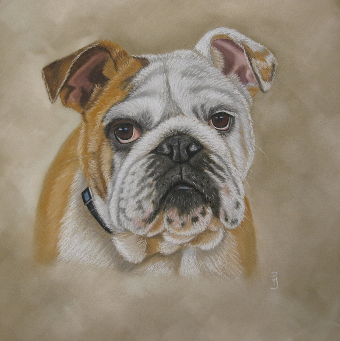 Engelse bulldog