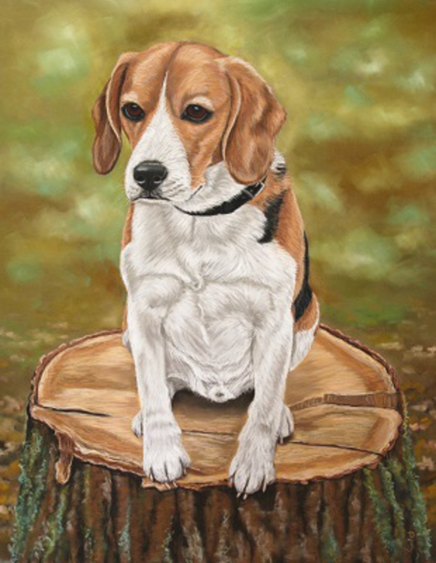 Beagle 