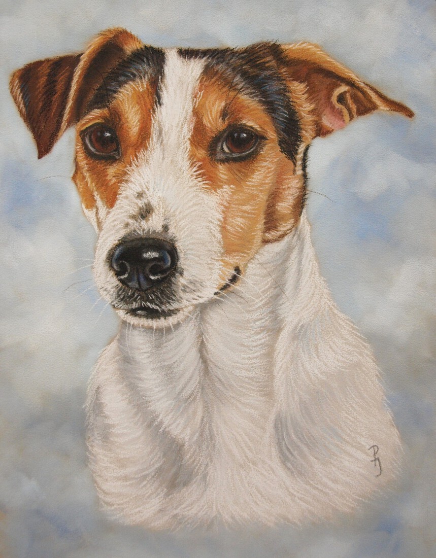 Jack Russel