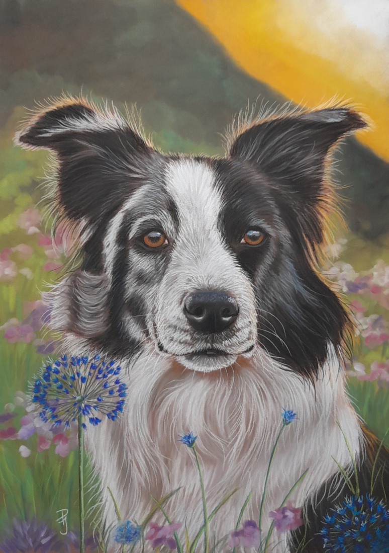 Border Collie met bloemen