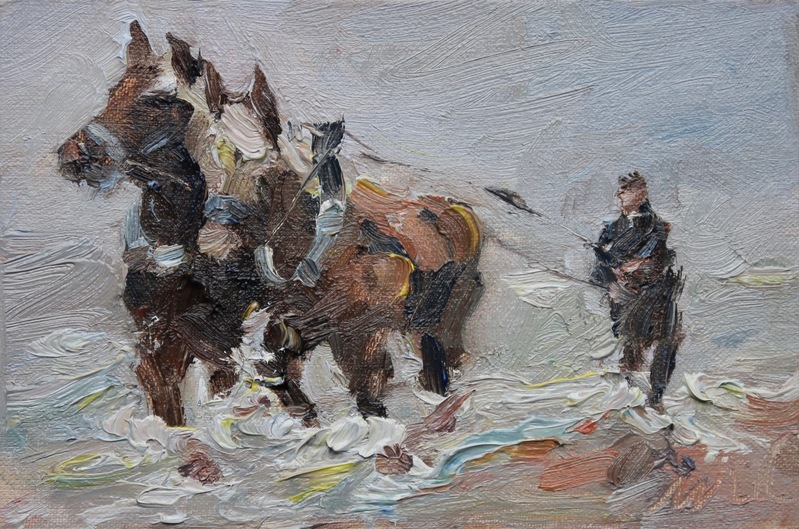 Vissen met trekpaarden