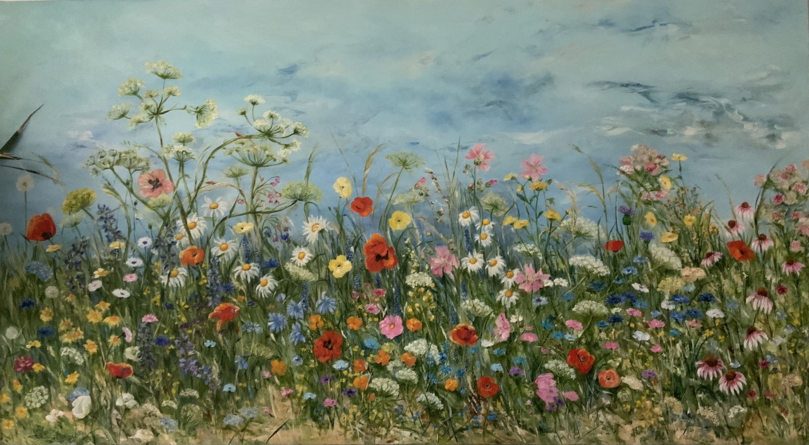 Wildflowers 
