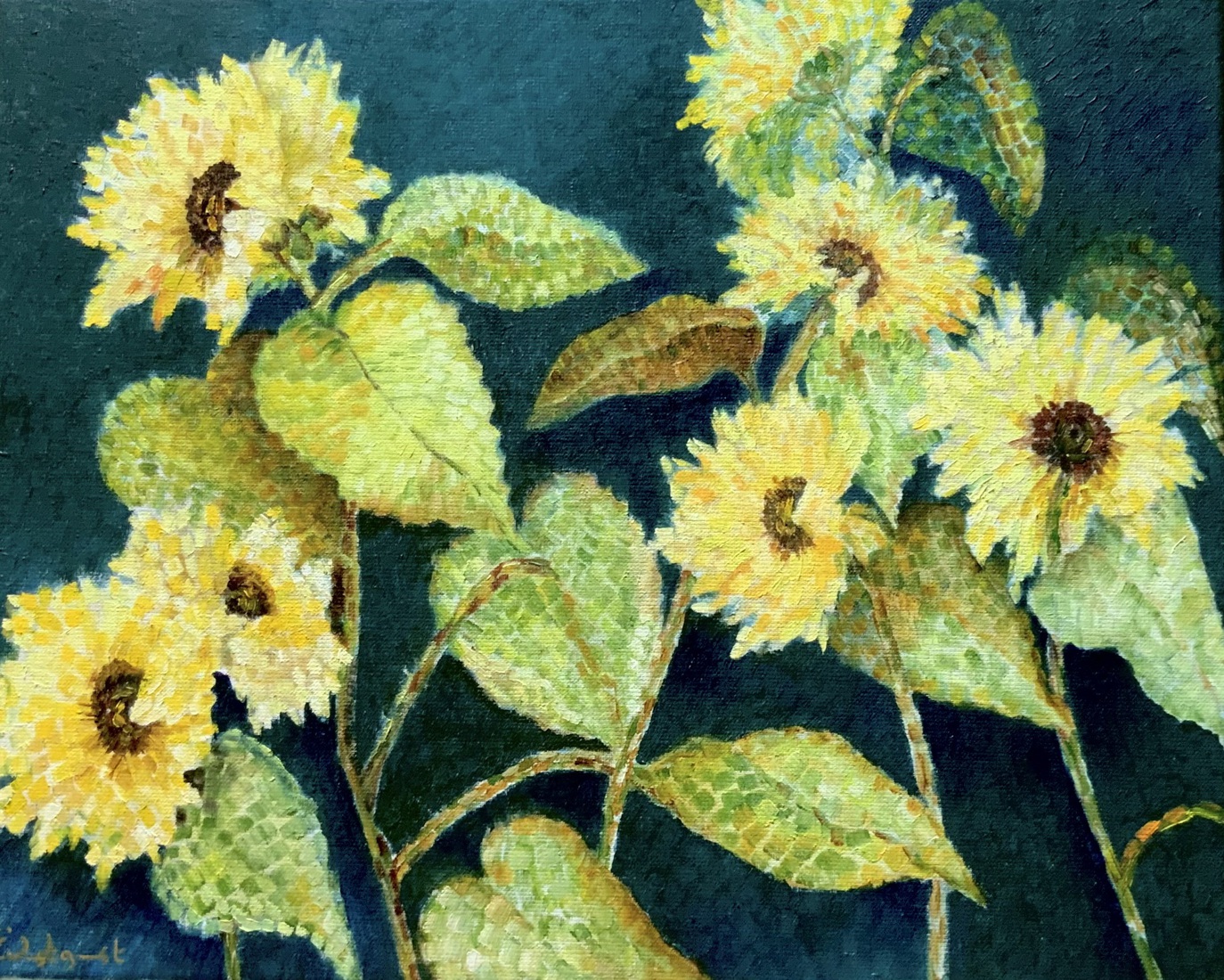 zonnebloemen 