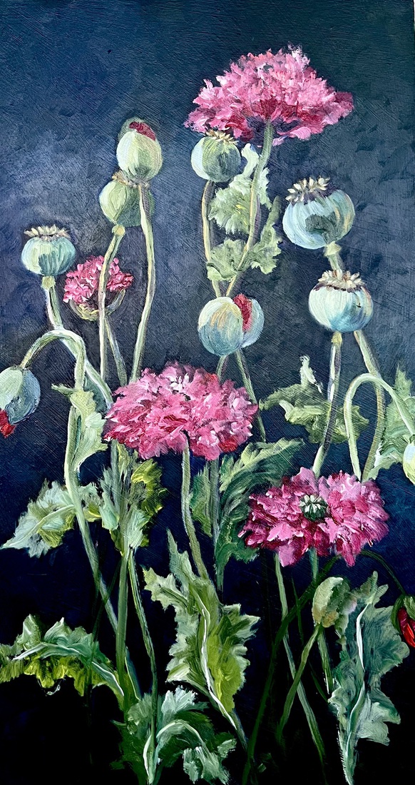 Papavers 