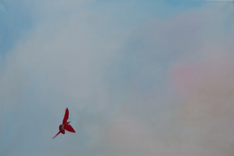 o dear, no doubt, no fear