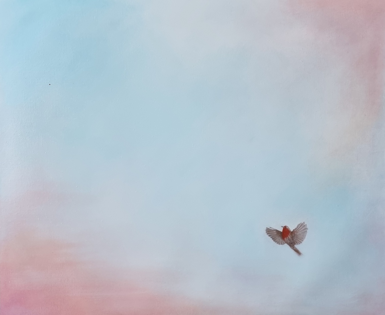 A new dawn,  ochtendgloren