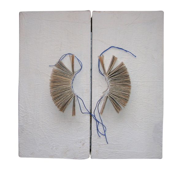 Gastenboek Essais de rêves