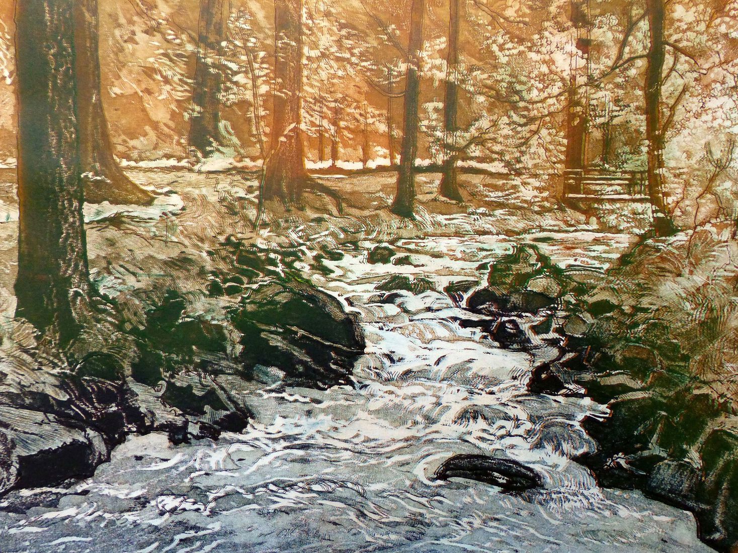 Beek Zwarte Woud (2)