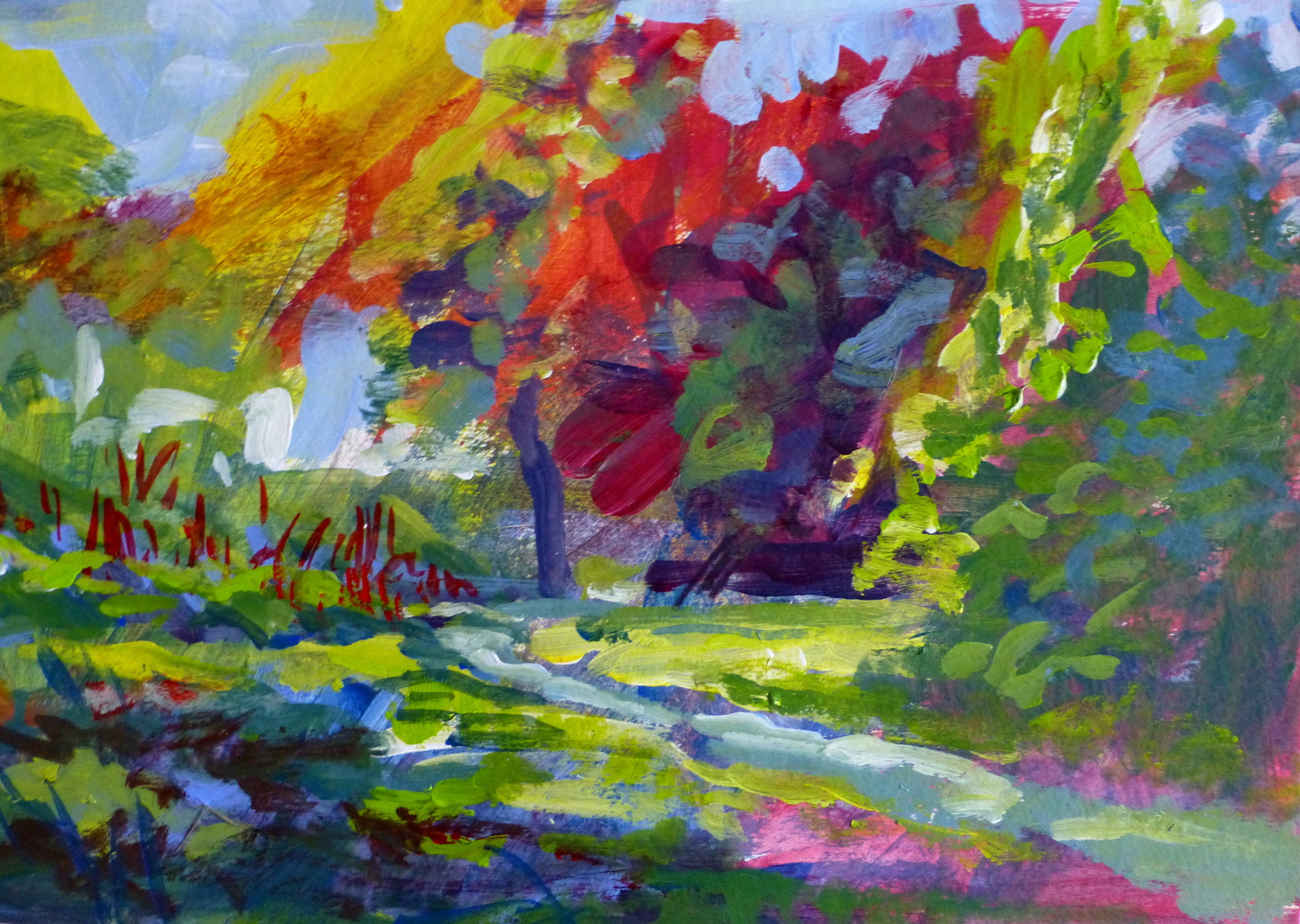 Purmerend, Stadsgracht park