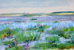 Diverse onderwerpen, vnl landschappen