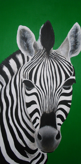 Zebra.