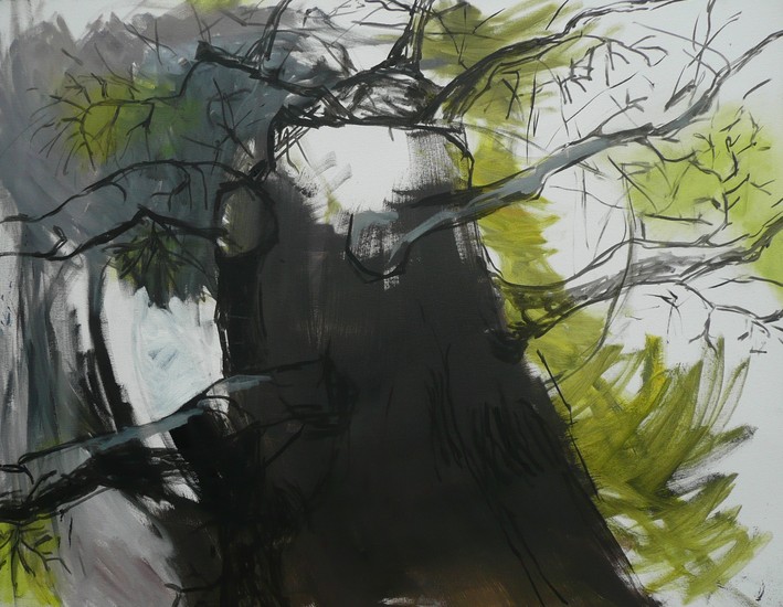 En de bomen - wat kan al hun gefluister betekenen?