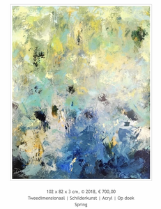 Abstracte schilderijen.