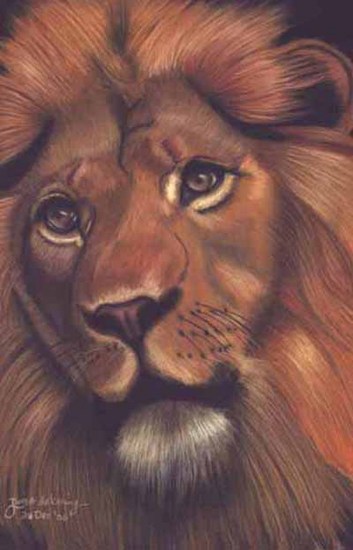 Lion's Head