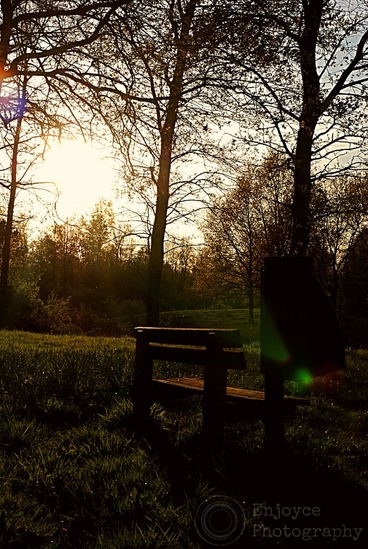 Bankje, zonsondergang