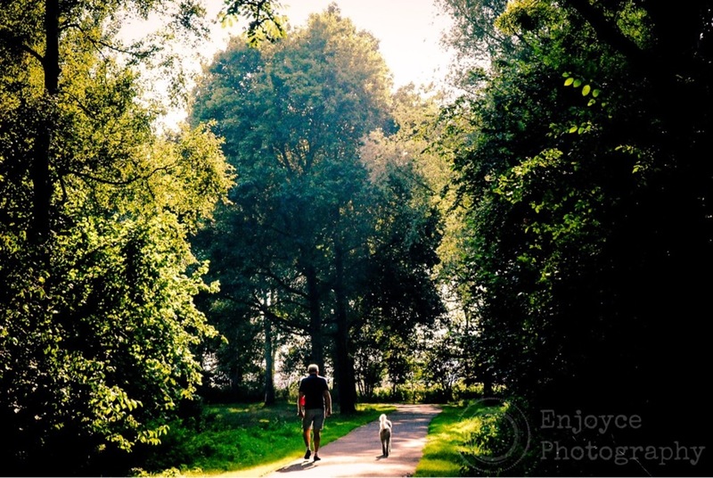 People can also shine