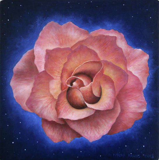 Kosmische roos
