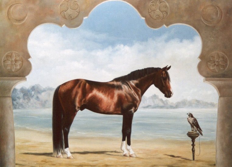 Arabisch paard met valk