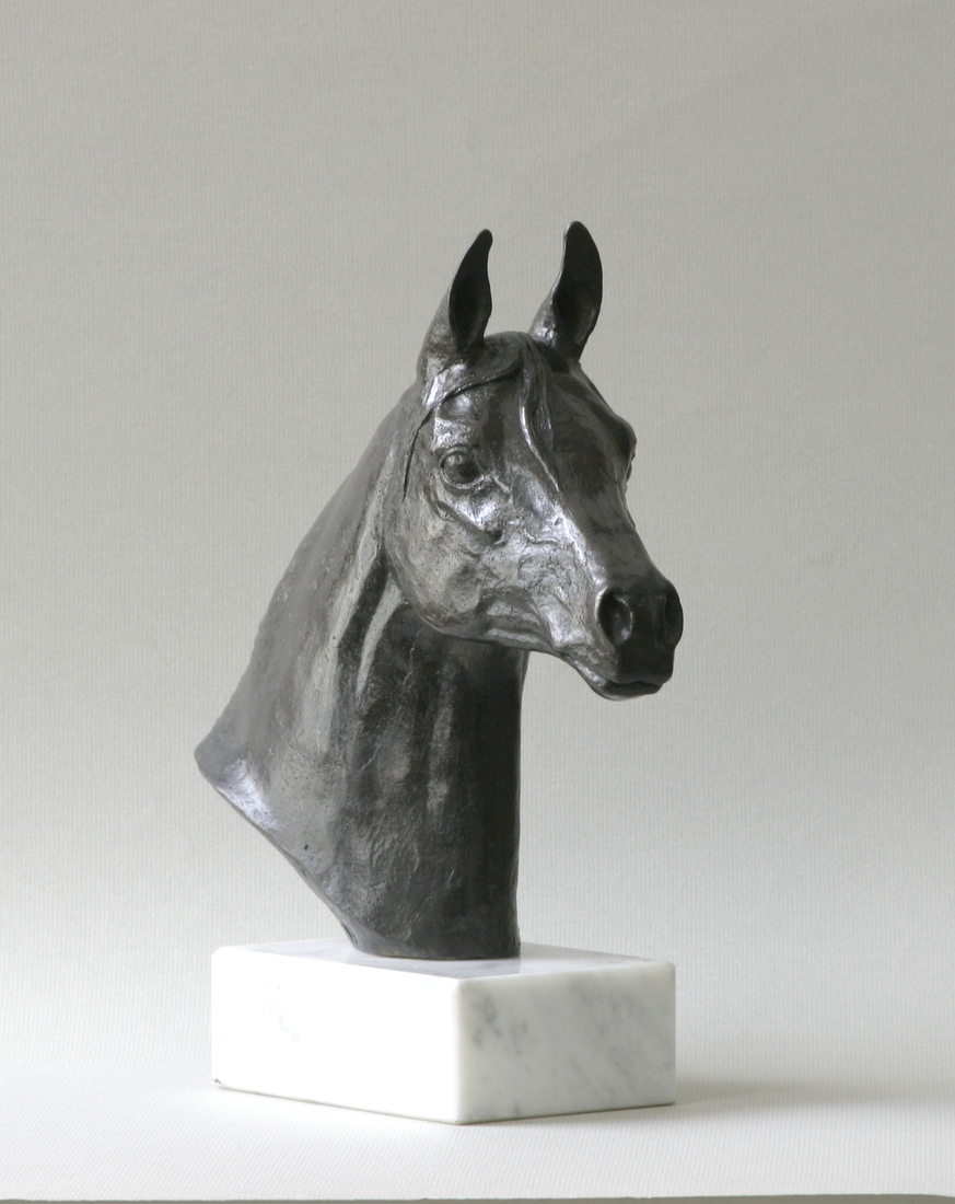 Arabisch paardenhoofd 1