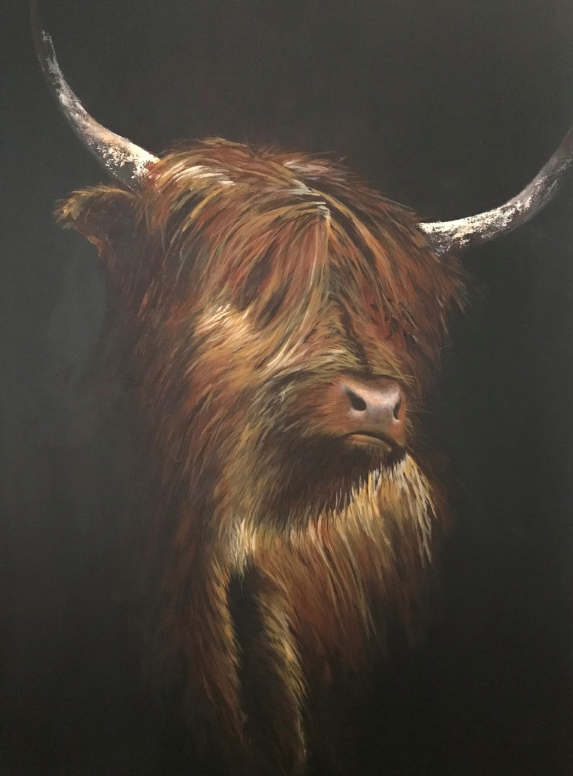 Schotse Hooglander (verkocht)