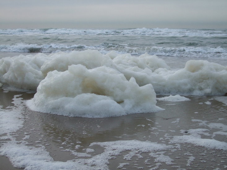 Texel