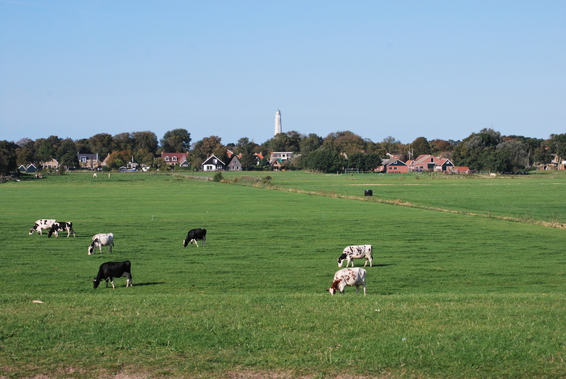 Schiermonnikoog