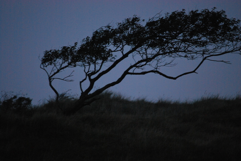 Schiermonnikoog