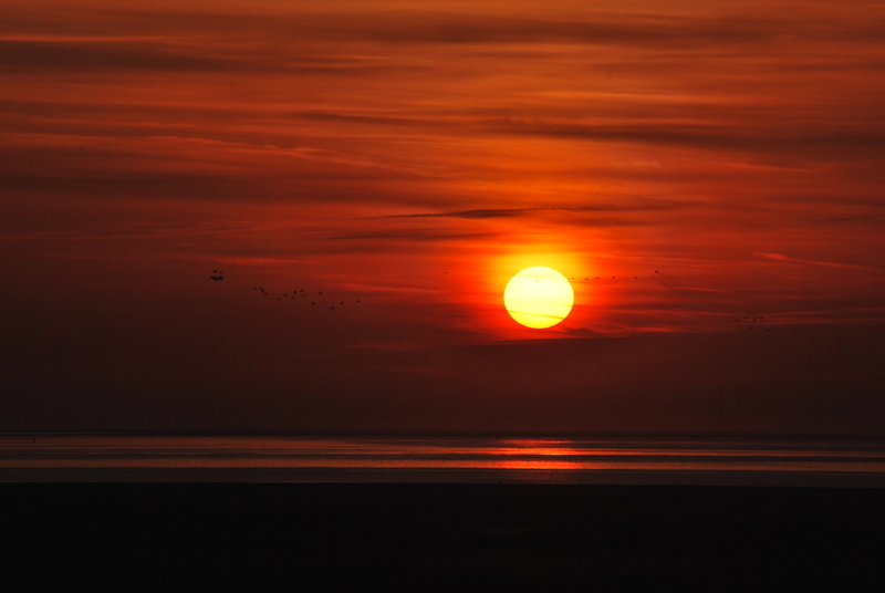 Schiermonnikoog