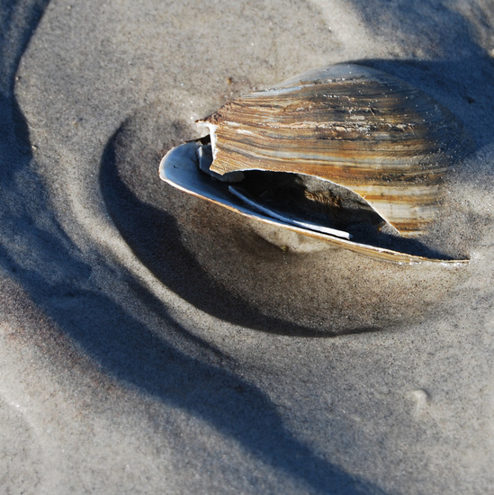 Schiermonnikoog