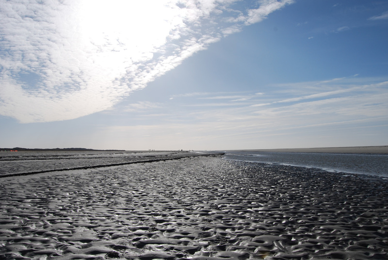 Schiermonnikoog