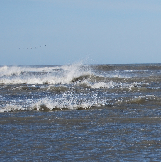 Schiermonnikoog