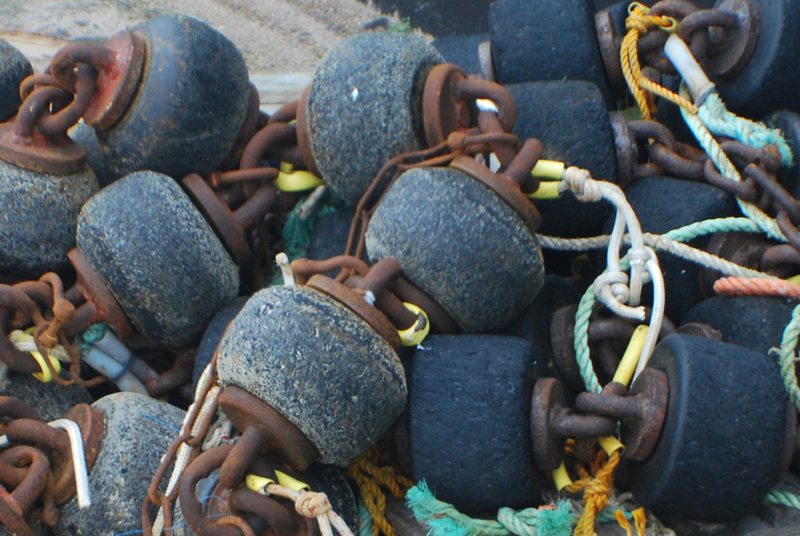 Texel- Oudeschild