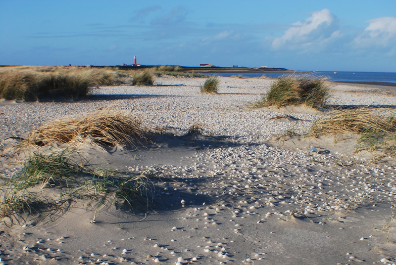 Texel- bij de vuurtoren