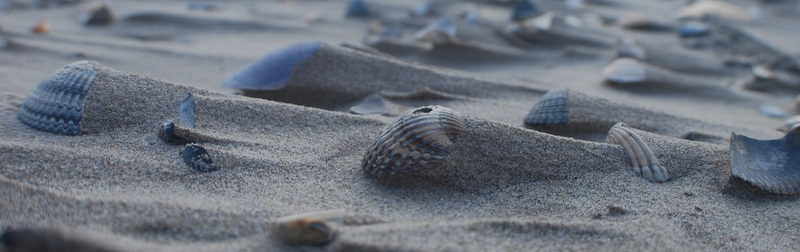 Schiermonnikoog