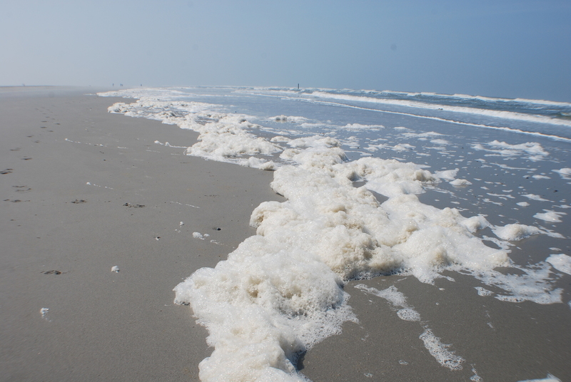 Schiermonnikoog