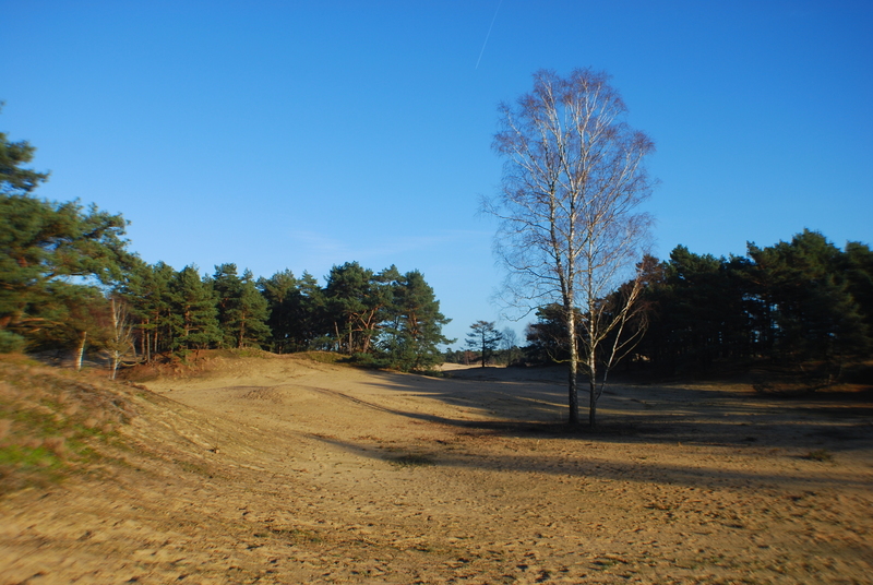 Zand