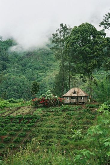 Regio Mount Hagen - een akker