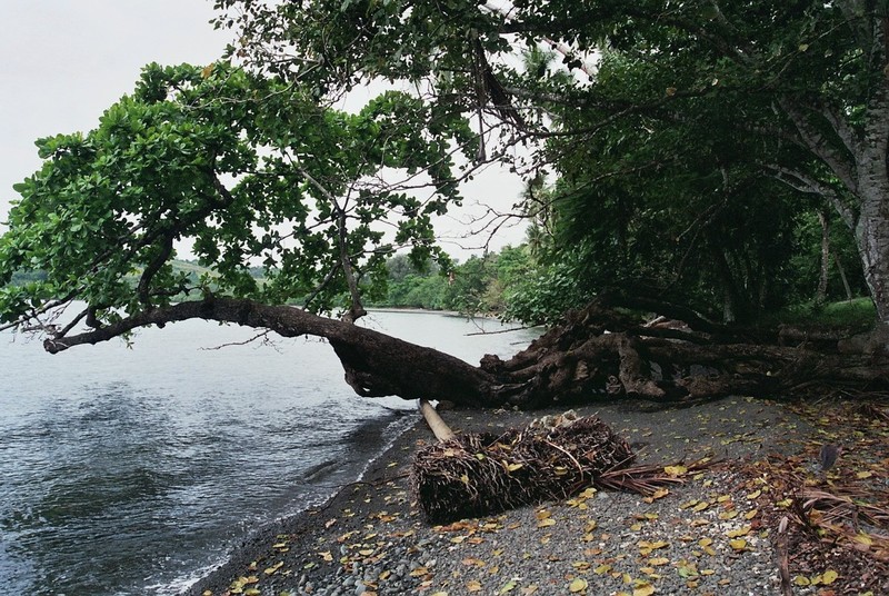 Kust