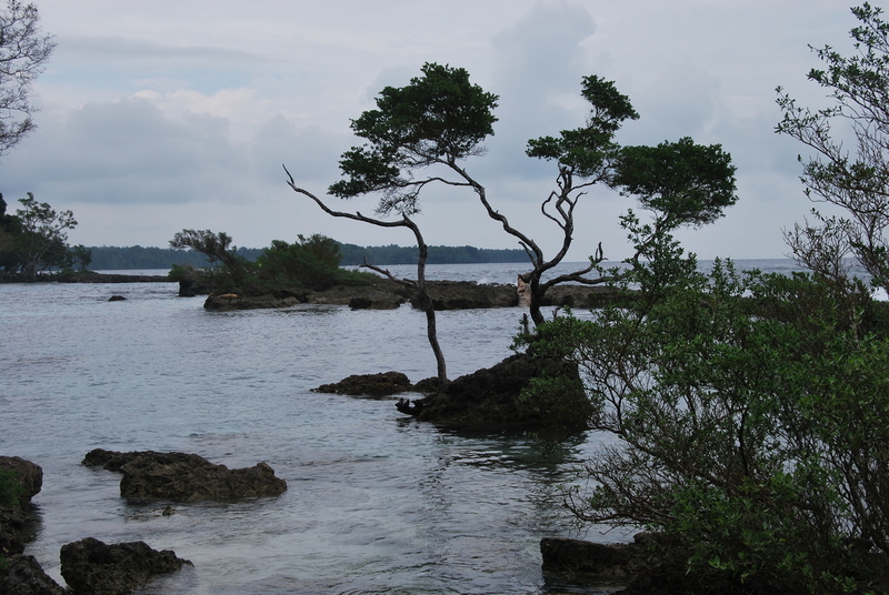 Kust bij Madang