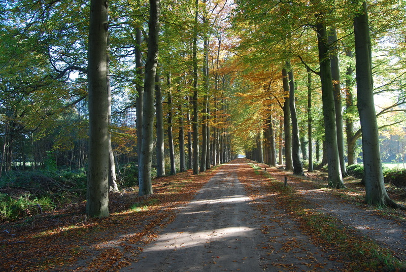 Herfst 2015