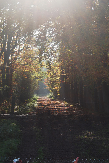 Herfst 2015